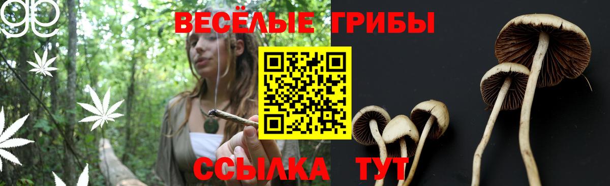 Галлюциногенные грибы Psilocybe  Вход с VPN  Галлюциногенные грибы мухоморы  Новоалтайск 
